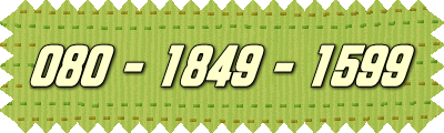 080‐1849‐1599